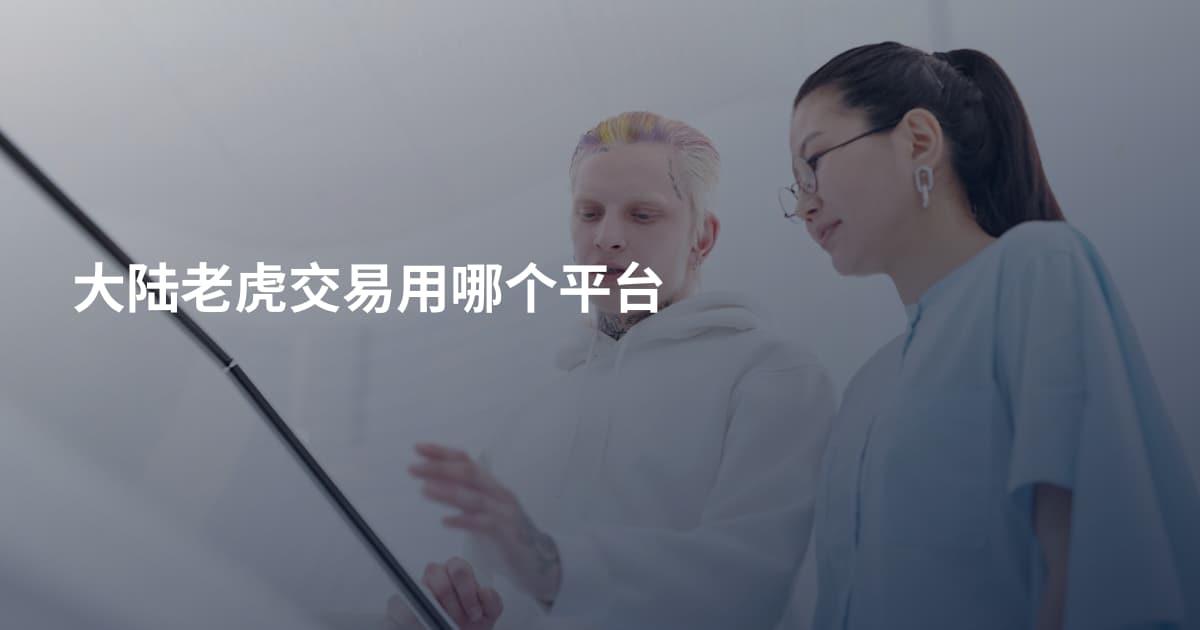 大陆老虎交易用哪个平台