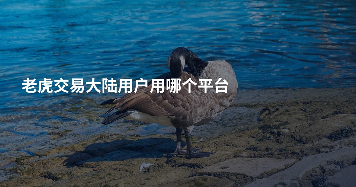 老虎交易大陆用户用哪个平台