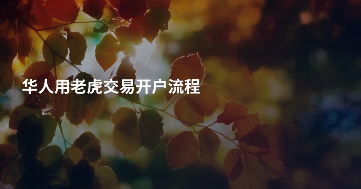 华人用老虎交易开户流程