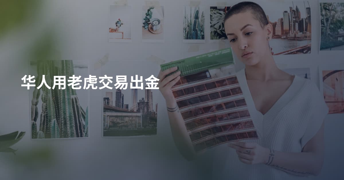 华人用老虎交易出金