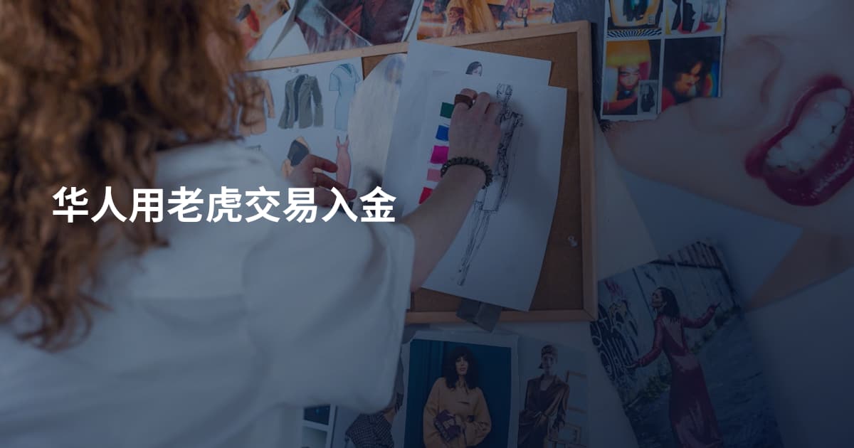 华人用老虎交易入金