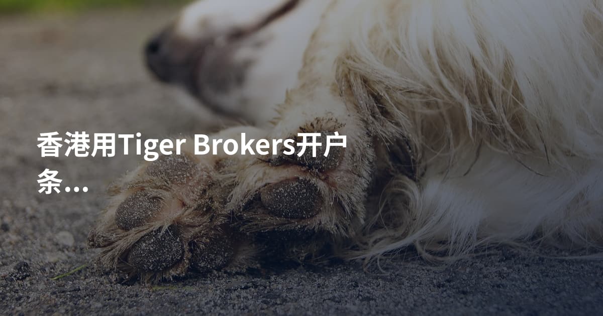 香港用Tiger Brokers开户条件