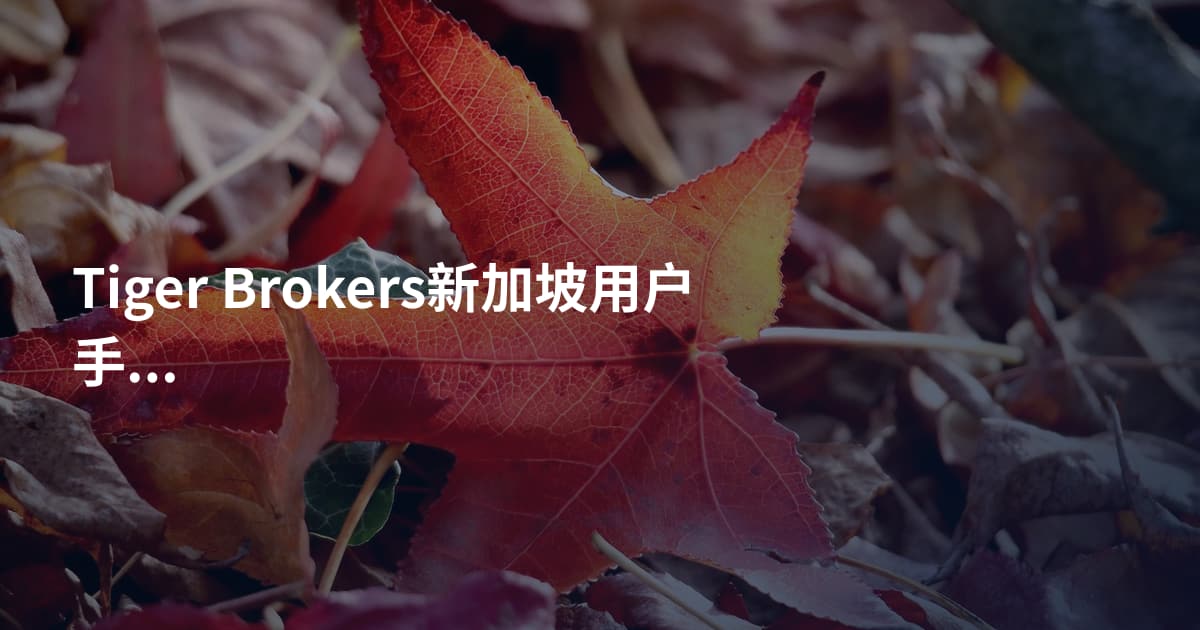 Tiger Brokers新加坡用户手续费