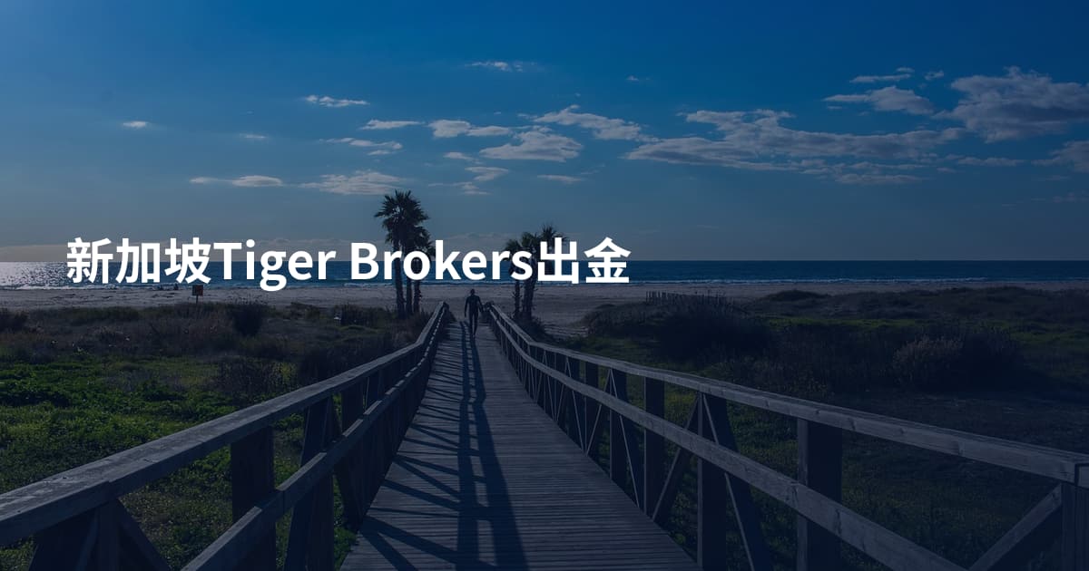 新加坡Tiger Brokers出金