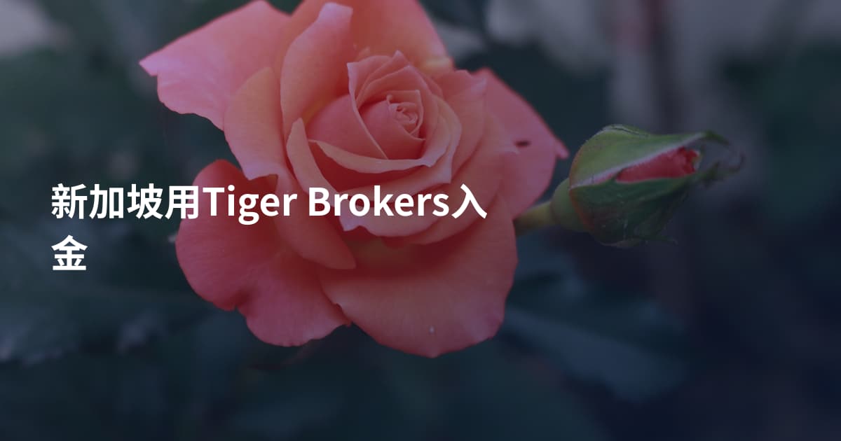 新加坡用Tiger Brokers入金