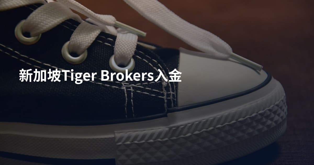 新加坡Tiger Brokers入金