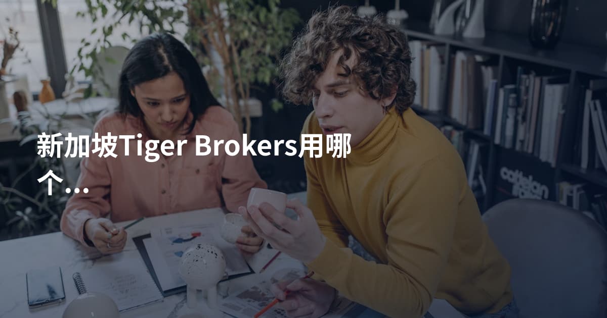 新加坡Tiger Brokers用哪个平台