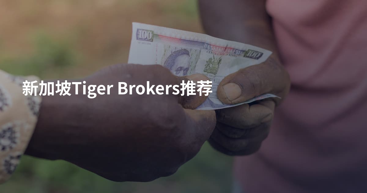 新加坡Tiger Brokers推荐