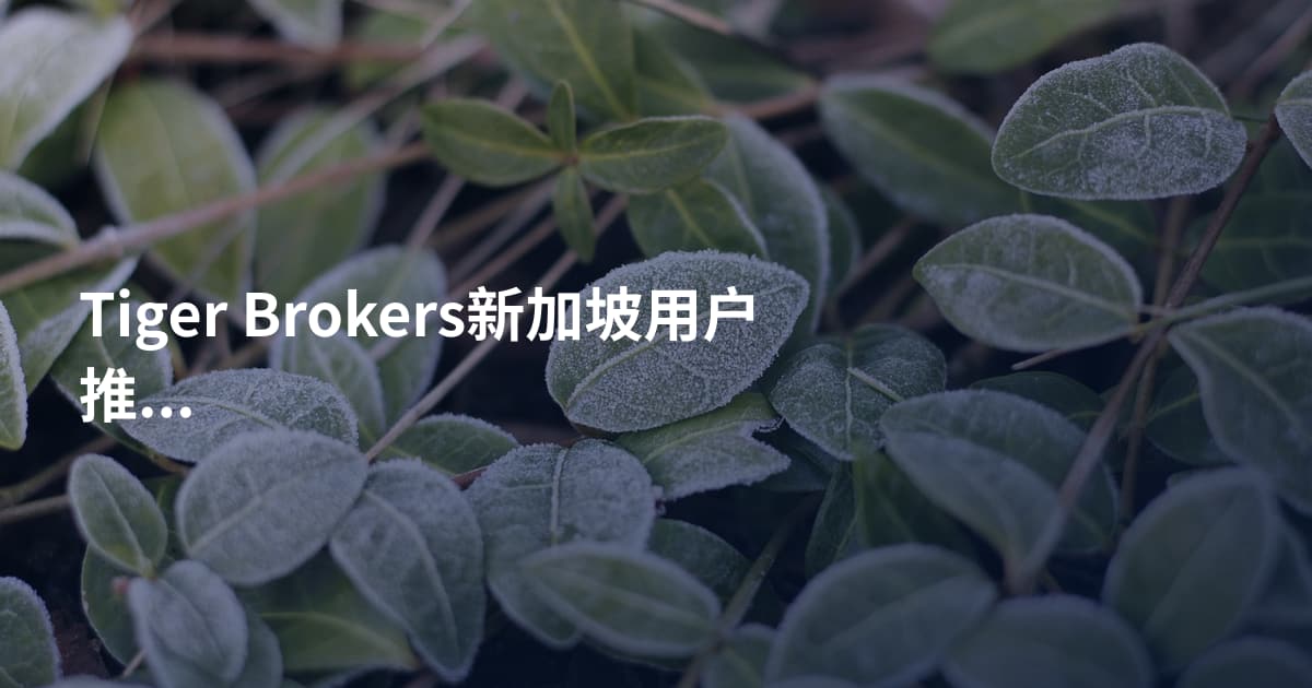 Tiger Brokers新加坡用户推荐