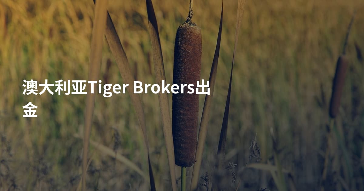 澳大利亚Tiger Brokers出金
