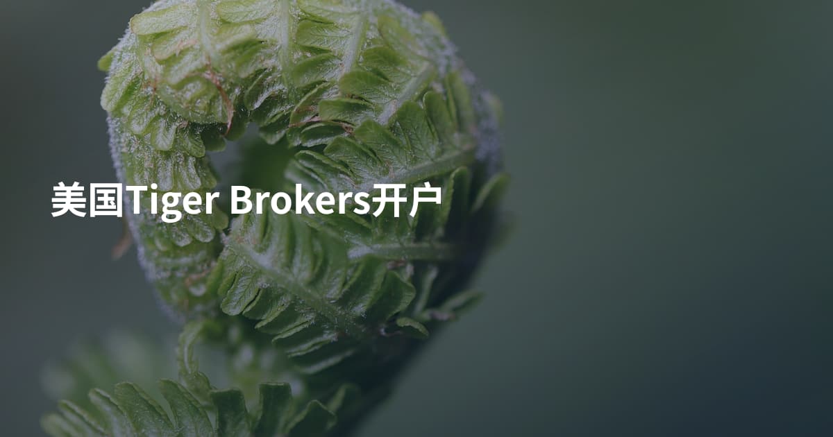 美国Tiger Brokers开户