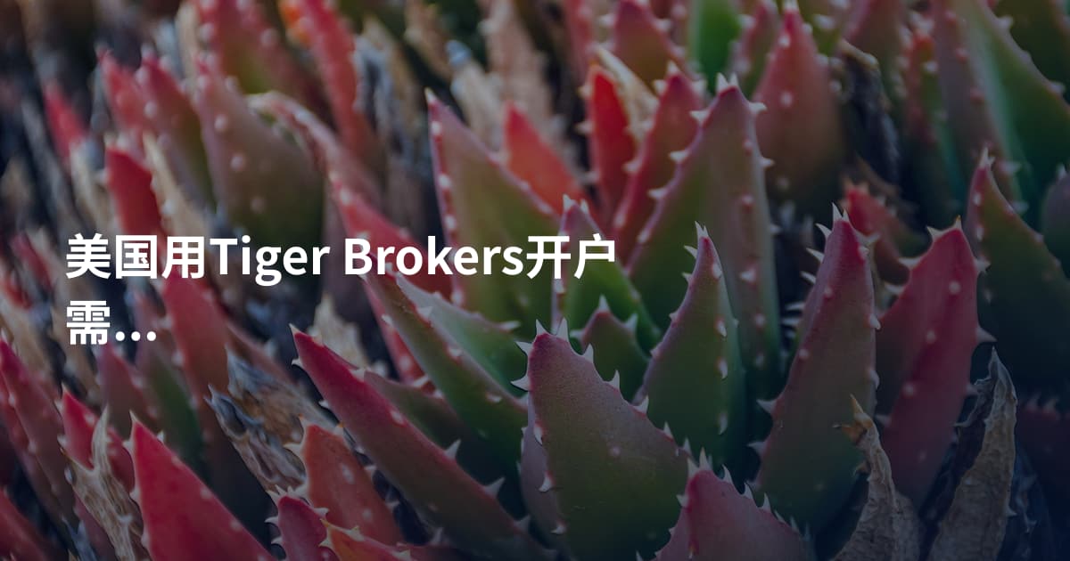 美国用Tiger Brokers开户需要什么