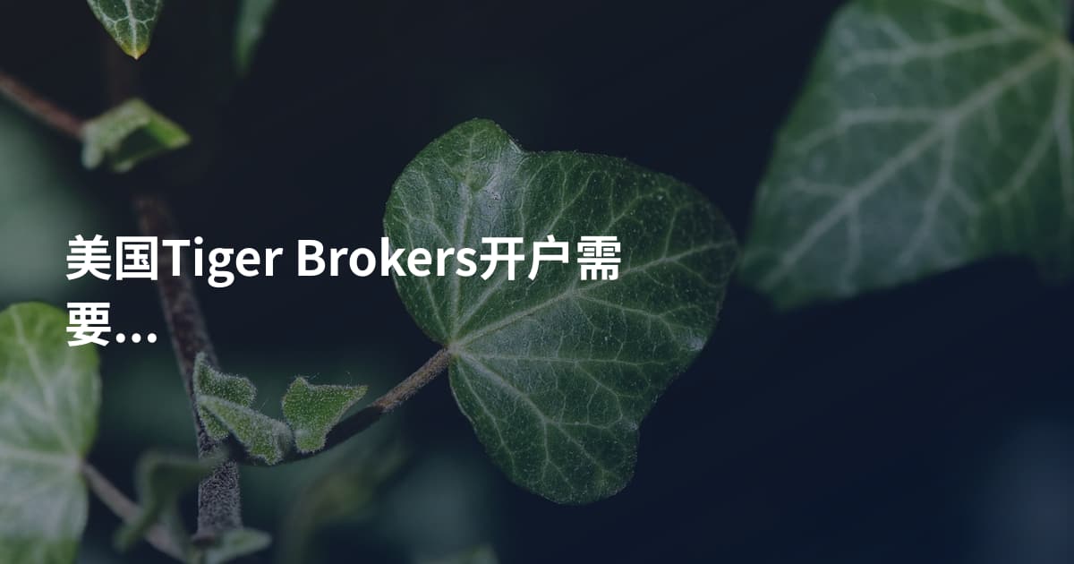 美国Tiger Brokers开户需要什么
