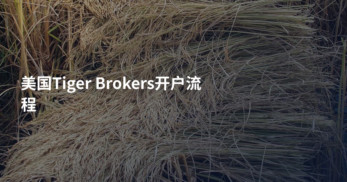美国Tiger Brokers开户流程