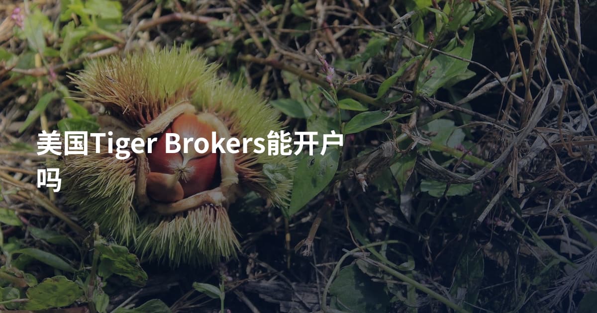 美国Tiger Brokers能开户吗
