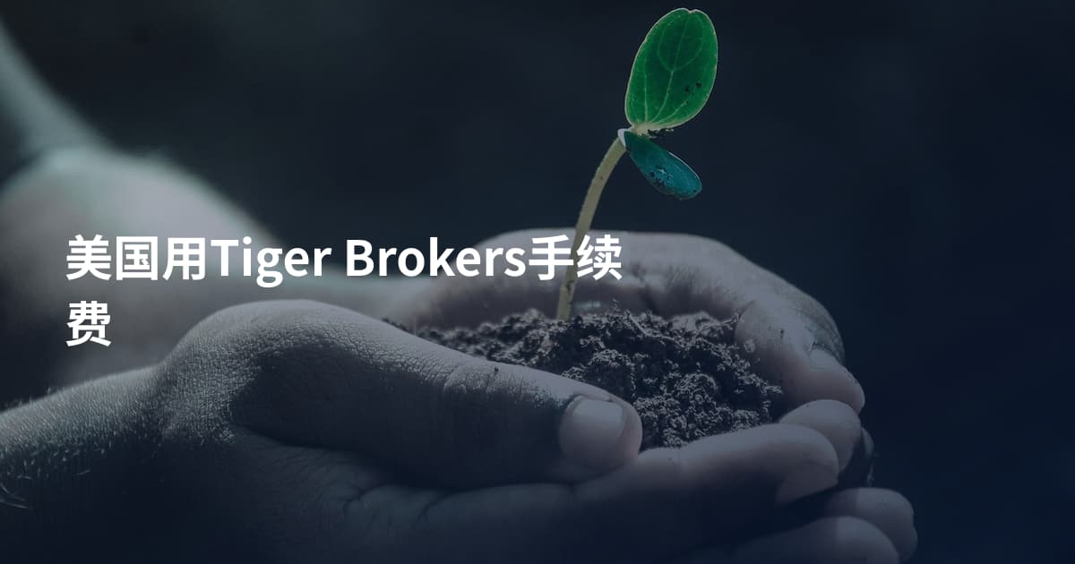 美国用Tiger Brokers手续费