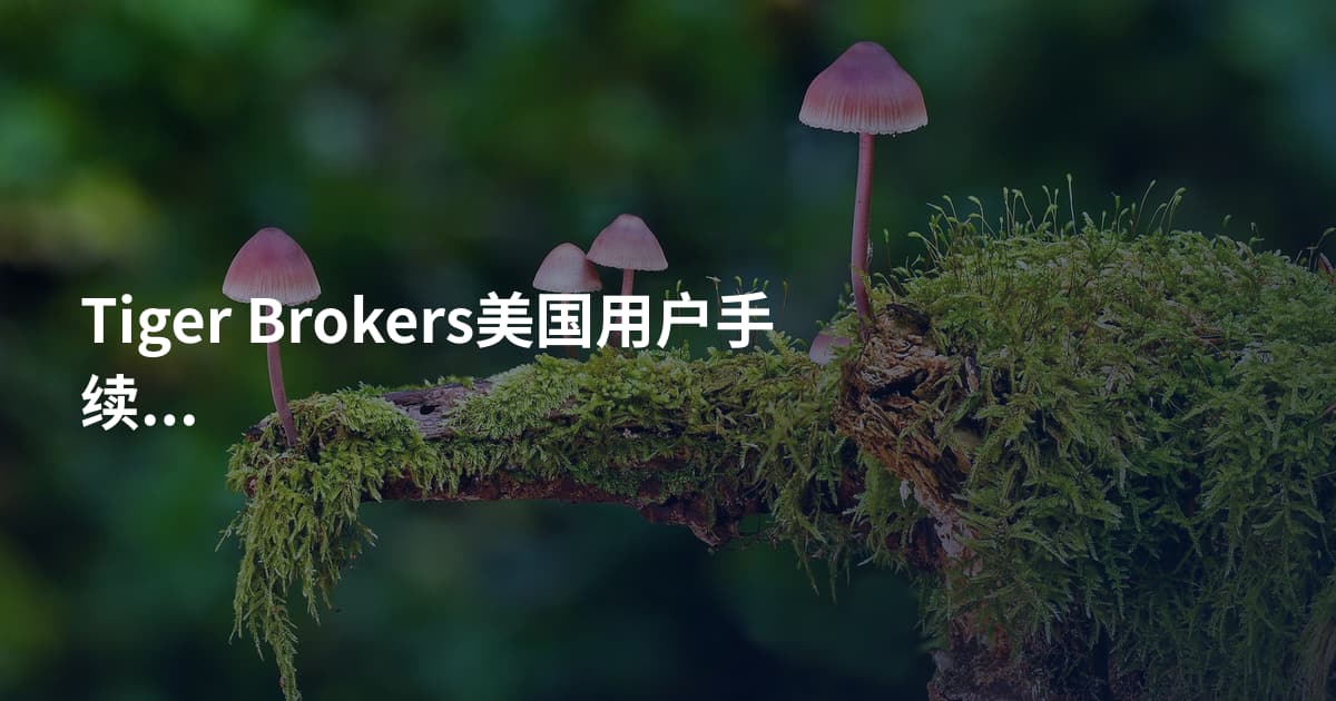 Tiger Brokers美国用户手续费