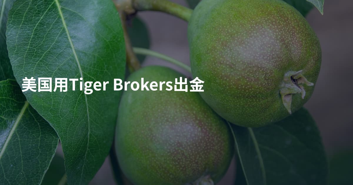 美国用Tiger Brokers出金