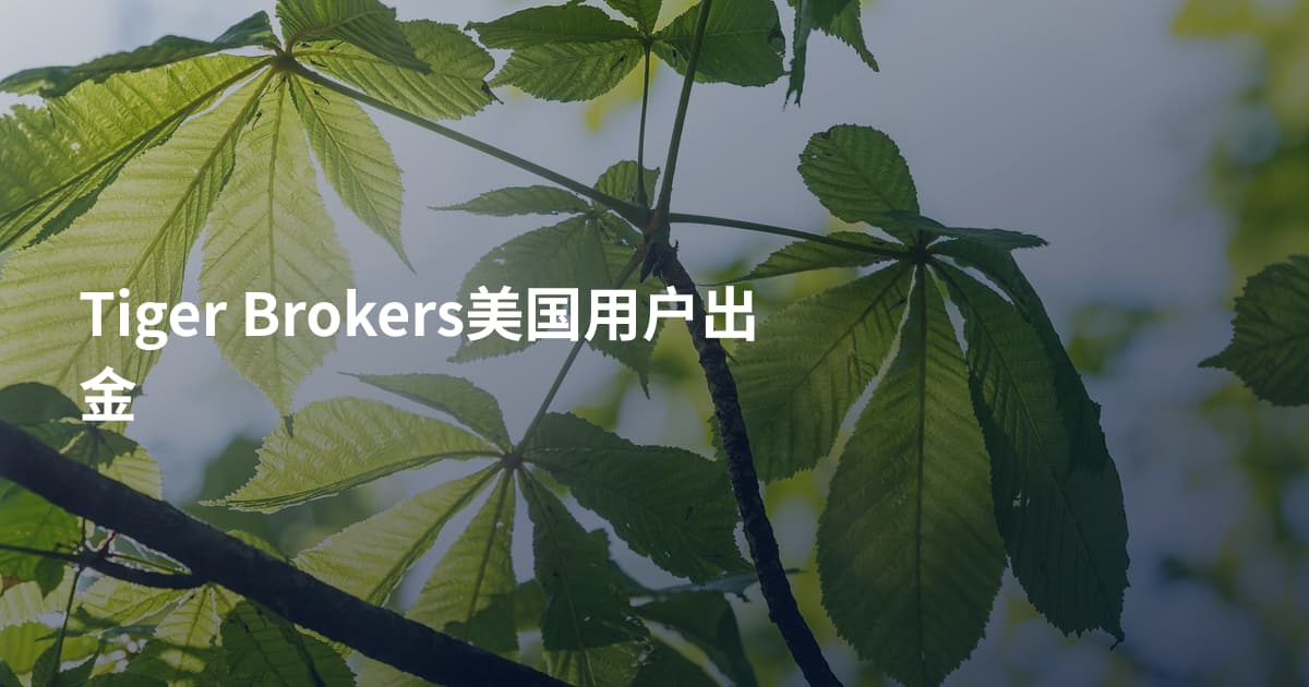 Tiger Brokers美国用户出金