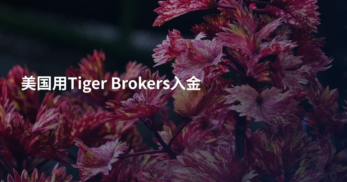 美国用Tiger Brokers入金