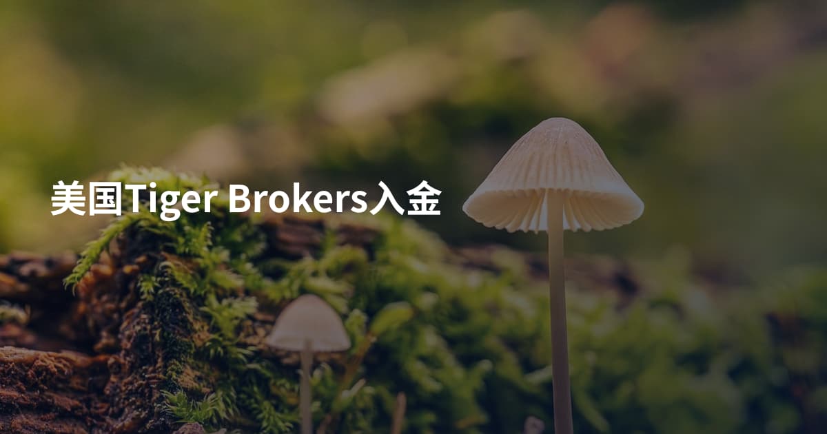 美国Tiger Brokers入金