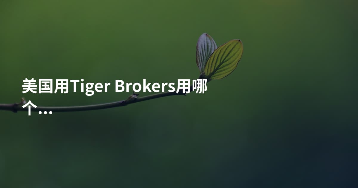 美国用Tiger Brokers用哪个平台