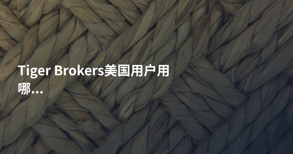 Tiger Brokers美国用户用哪个平台