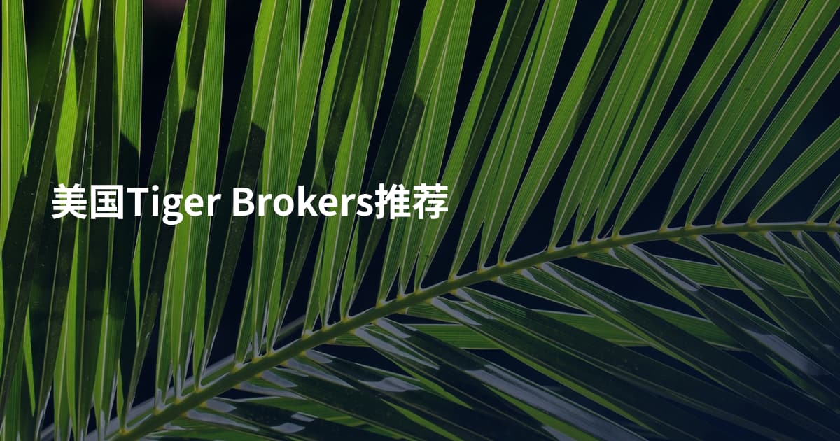 美国Tiger Brokers推荐
