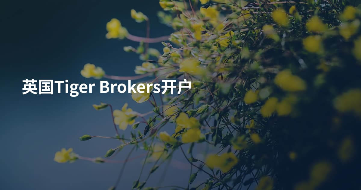 英国Tiger Brokers开户