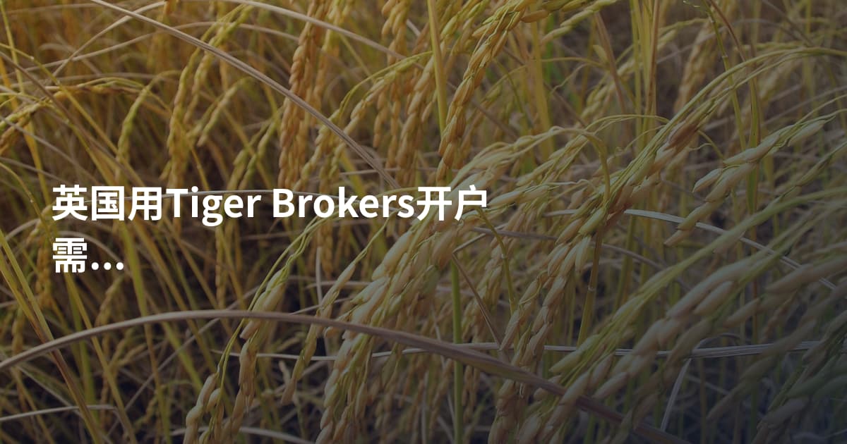 英国用Tiger Brokers开户需要什么