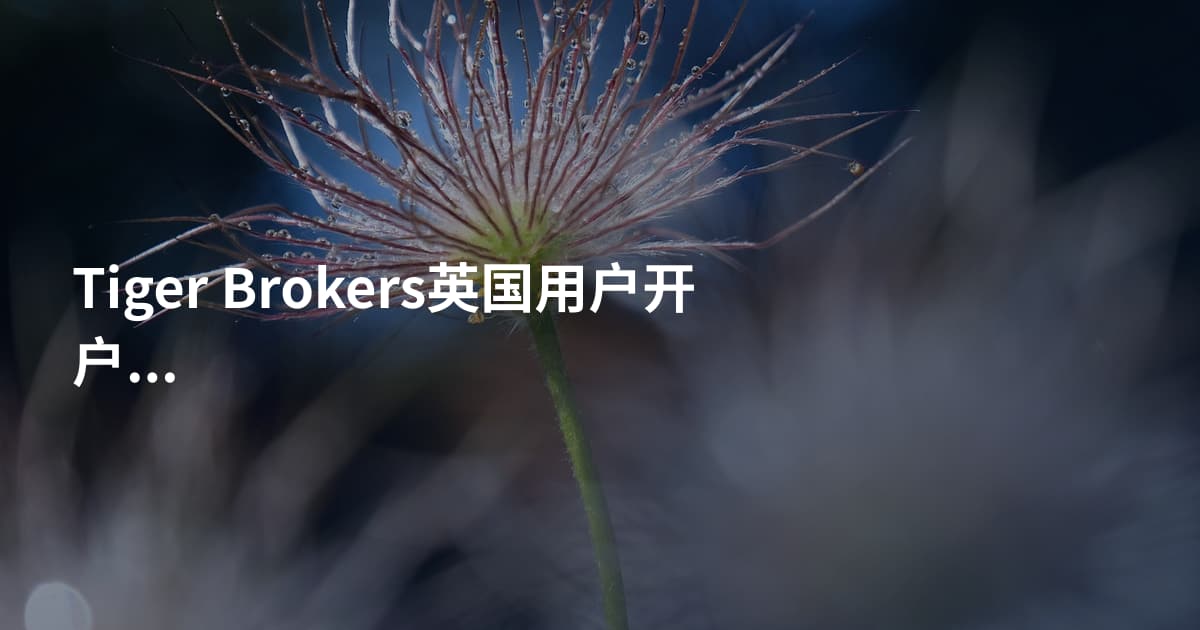 Tiger Brokers英国用户开户需要什么