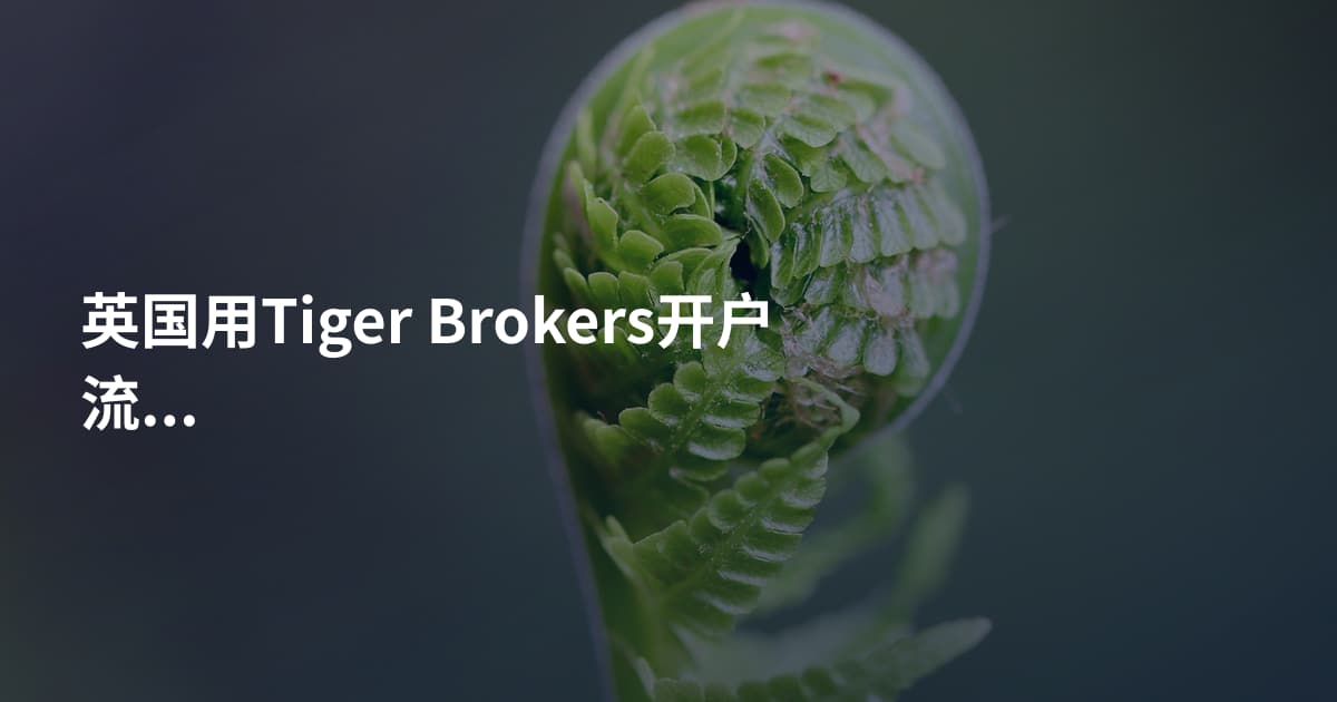 英国用Tiger Brokers开户流程