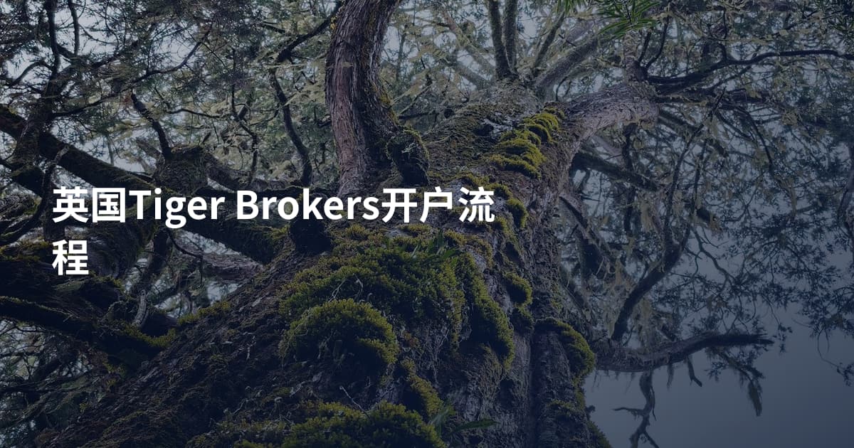 英国Tiger Brokers开户流程