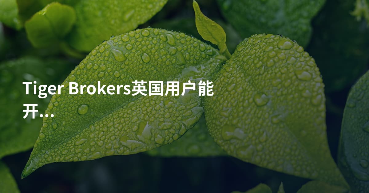 Tiger Brokers英国用户能开户吗