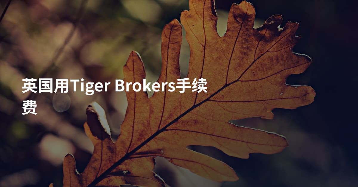 英国用Tiger Brokers手续费