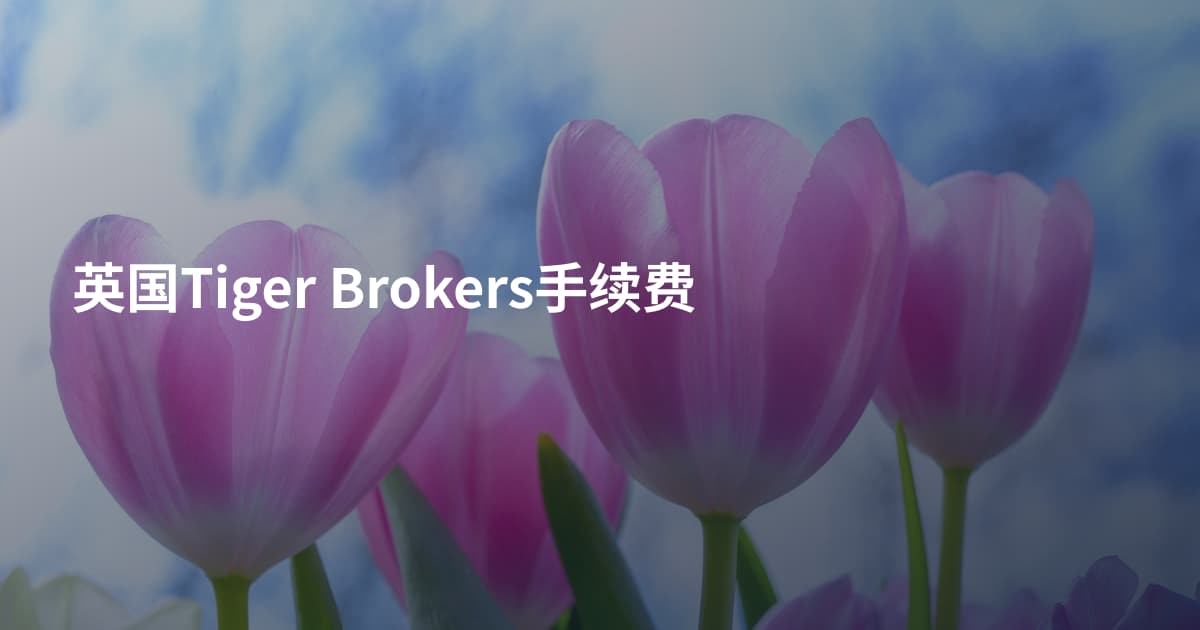 英国Tiger Brokers手续费
