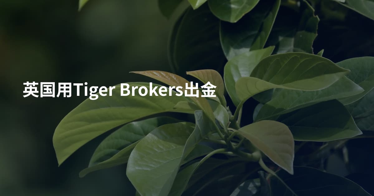 英国用Tiger Brokers出金
