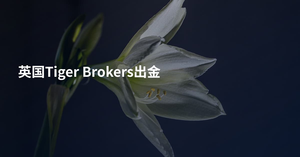 英国Tiger Brokers出金