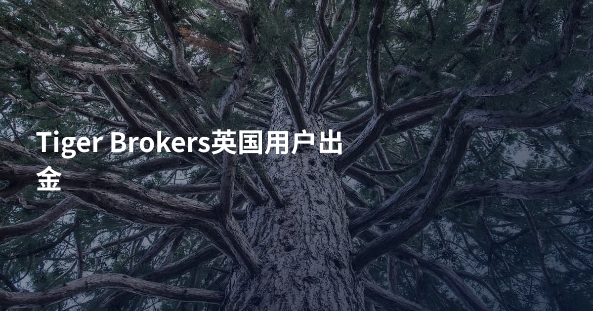 Tiger Brokers英国用户出金