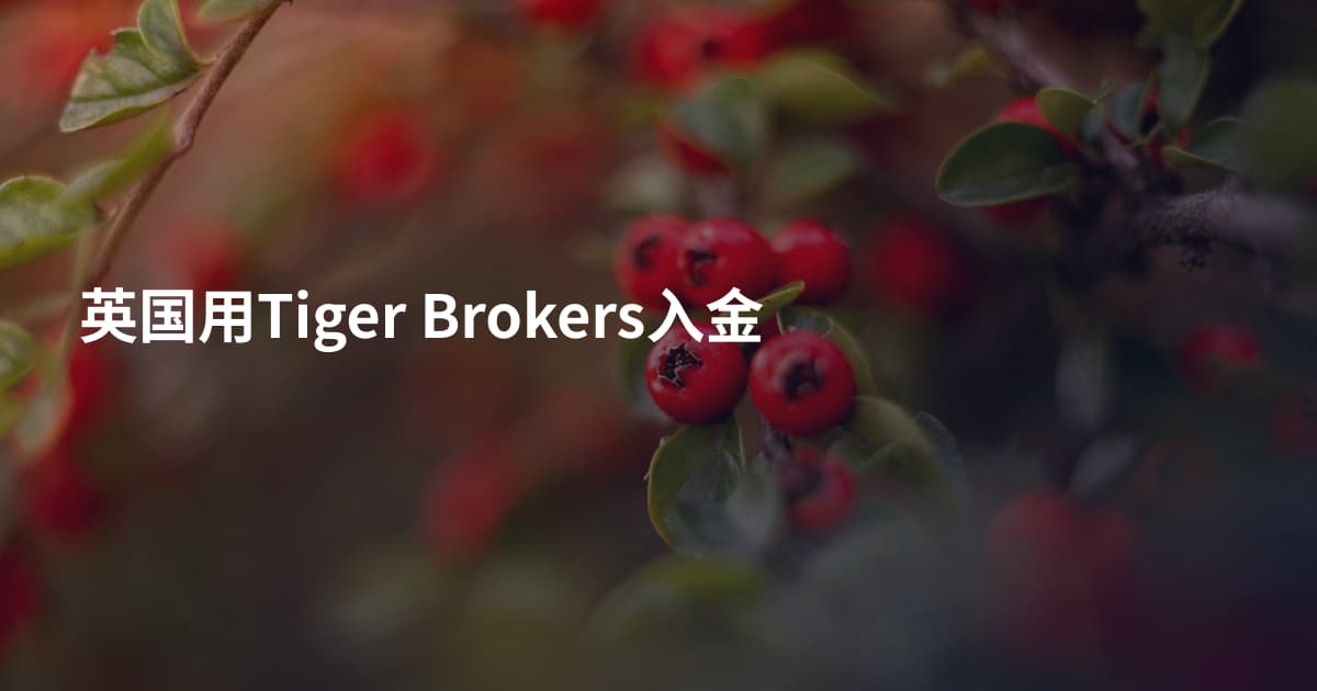 英国用Tiger Brokers入金