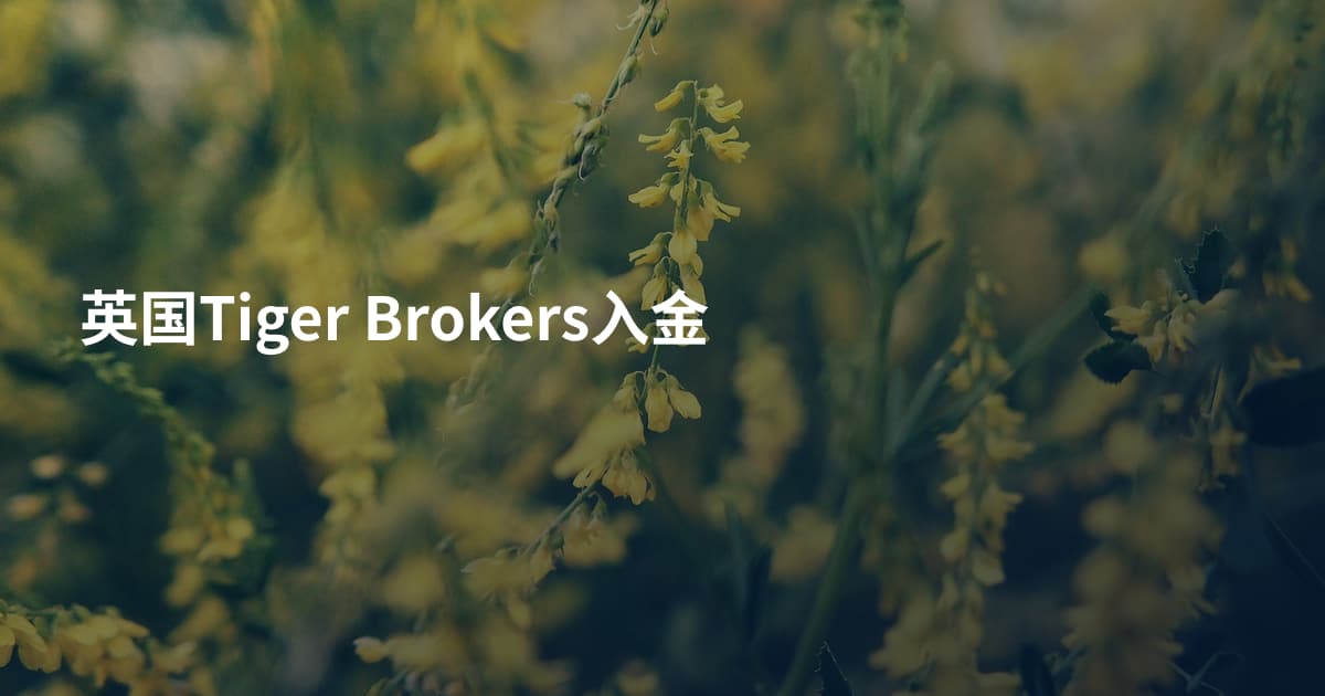 英国Tiger Brokers入金