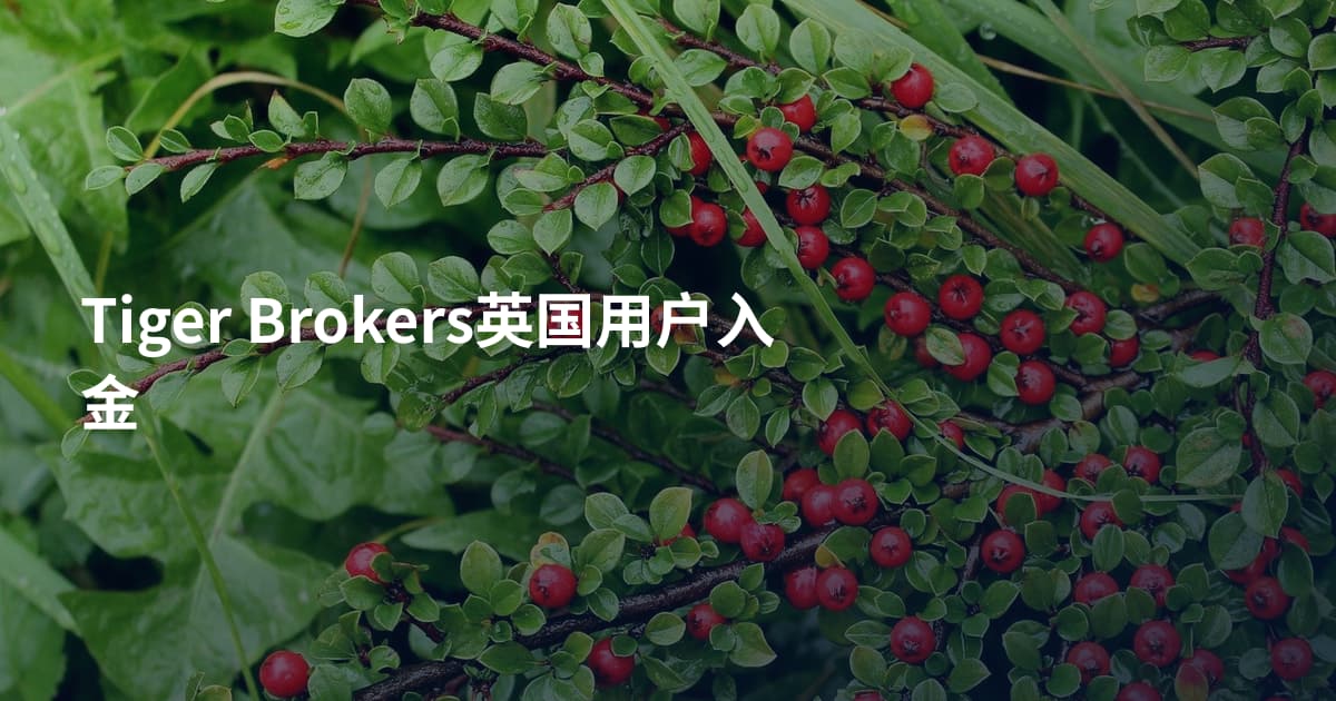 Tiger Brokers英国用户入金