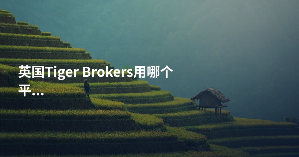英国Tiger Brokers用哪个平台