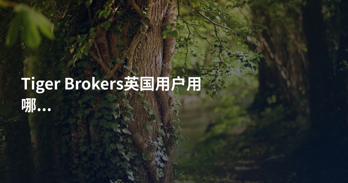 Tiger Brokers英国用户用哪个平台