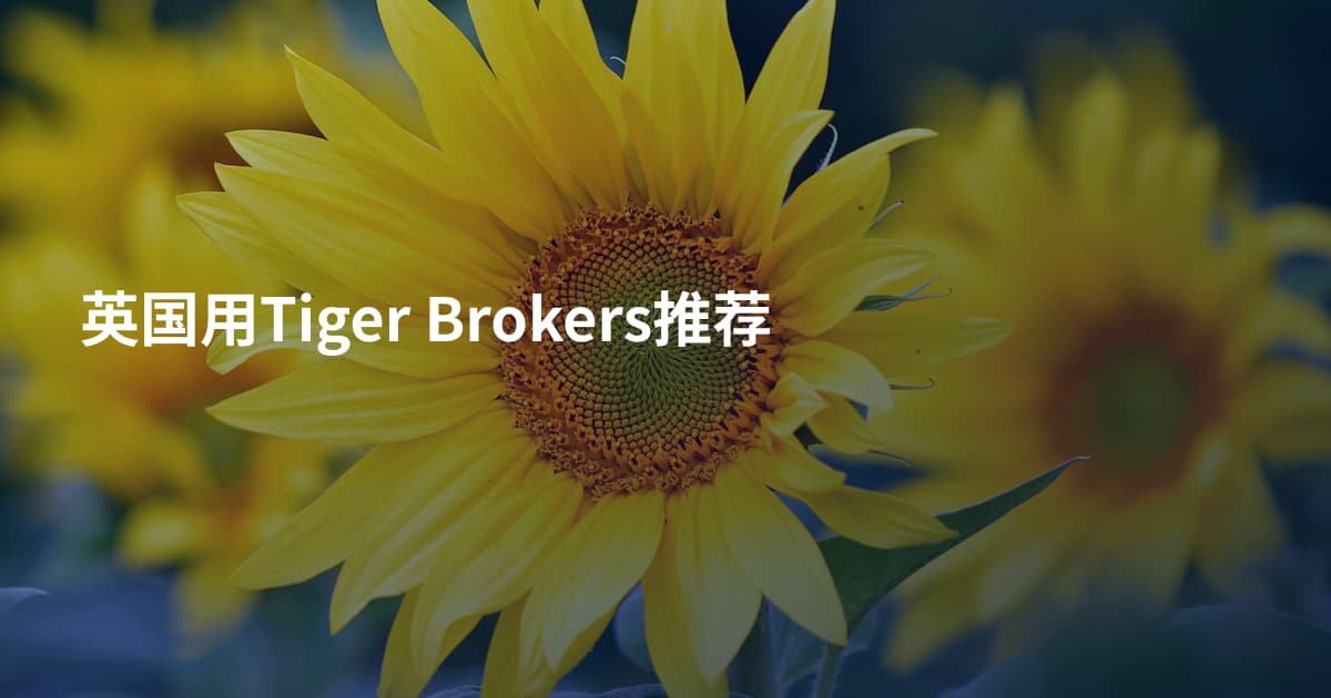 英国用Tiger Brokers推荐