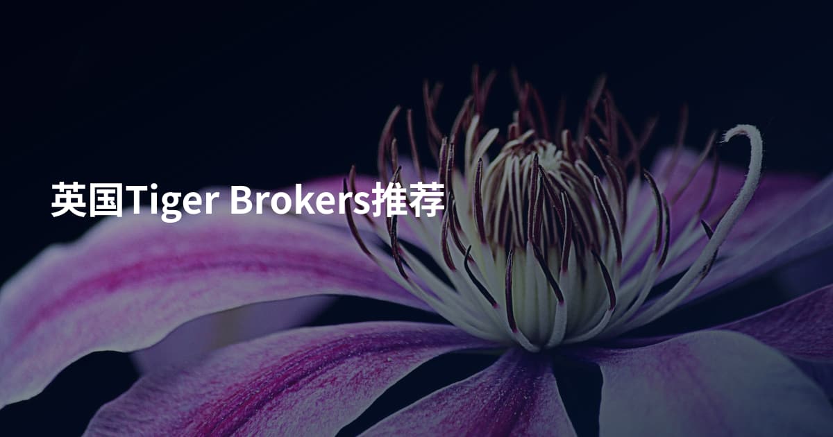 英国Tiger Brokers推荐