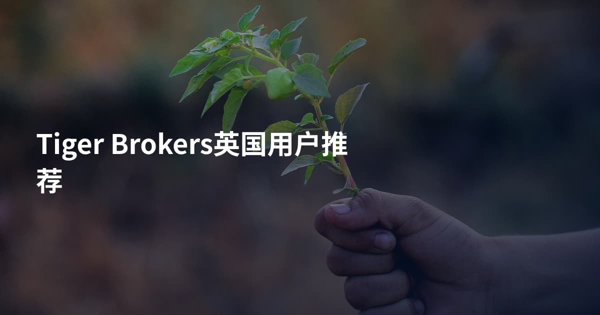 Tiger Brokers英国用户推荐