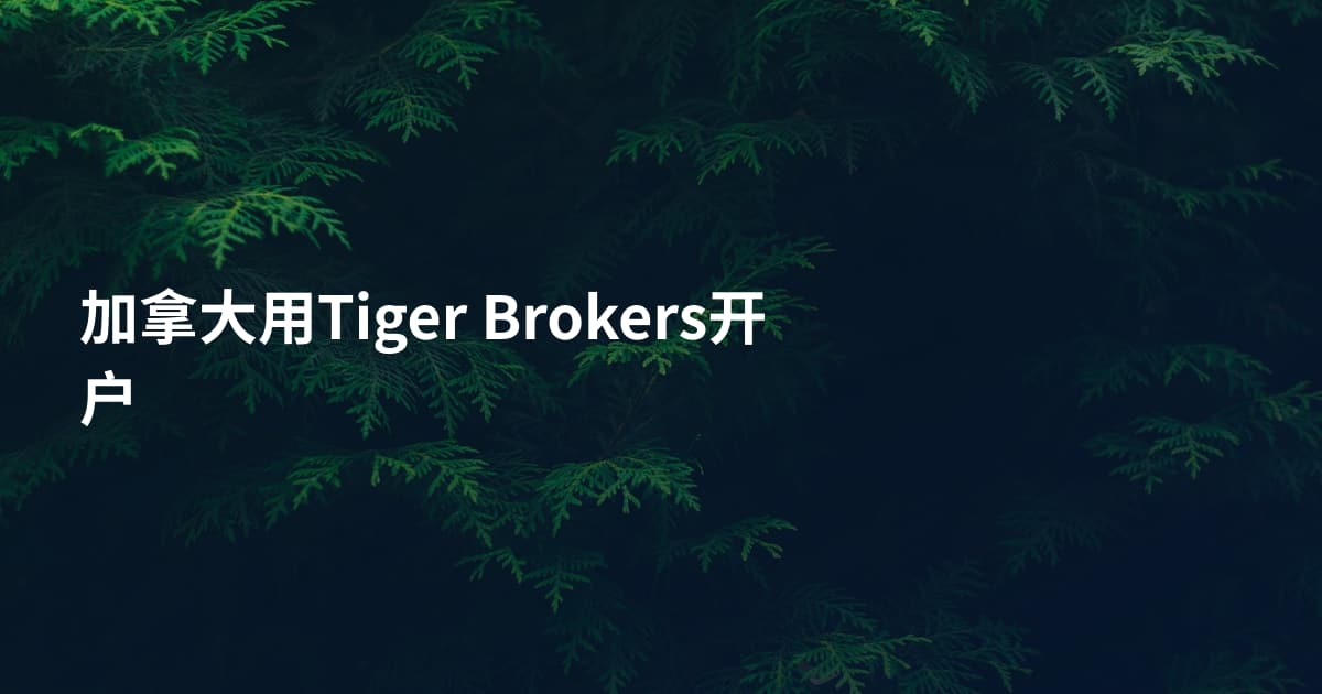 加拿大用Tiger Brokers开户