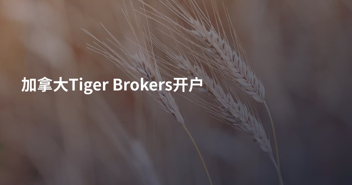 加拿大Tiger Brokers开户