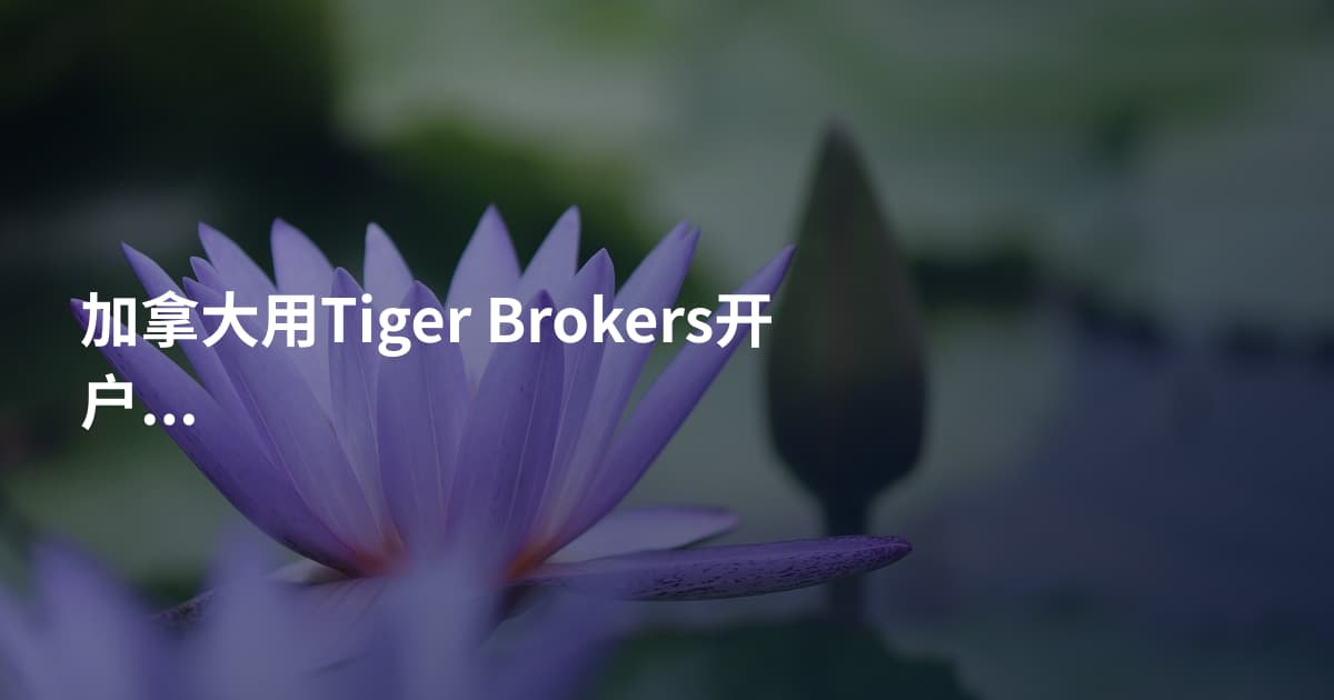 加拿大用Tiger Brokers开户需要什么